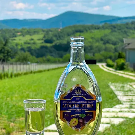 Kod Lutajuceg Despotovac