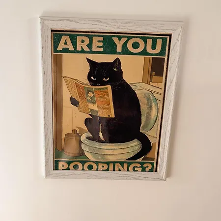 Kod Lutajuceg Willa Despotovac